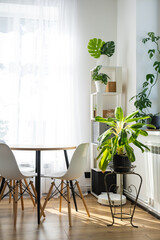 The interior of the house with large windows and home plants round table, chairs, white loft. Houseplant caring for indoor plant, green home