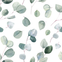 Watercolor Seamless Pattern Background with Elegant Eucalyptus Branches on Transparent Background