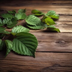 Green leaves on a wooden table