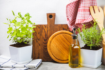 Fresh garden herbs in pots. Rosemary, mint, oregano and thyme in white pots. Seedling of spicy...