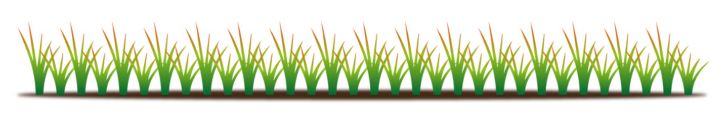 Green Grass Vector Illustration