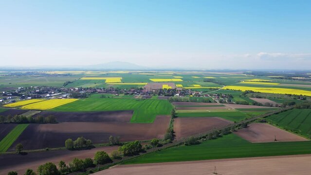 Colorful agriculture fields in spring. Blooming rapeseed fields and green meadows, aerial view. Natural background