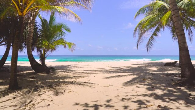 Amazing beach and coconut palm trees. Phuket, Thailand
