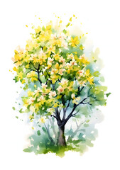 Watercolour Tree with Spring blooming isolated on white background