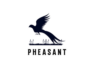 Beauty Flying Pheasant Bird. Pheasant logo design template. Pheasant hunt logo