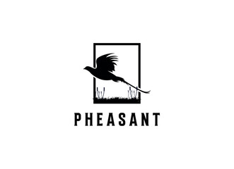 Beauty Flying Pheasant Bird. Pheasant logo design template. Pheasant hunt logo