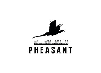 Beauty Flying Pheasant Bird. Pheasant logo design template. Pheasant hunt logo
