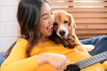 On a weekend, A young Asian woman and her beagle puppy are playing the guitar and singing...