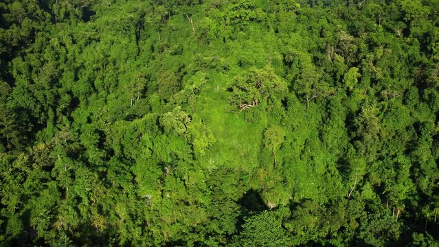 Aerial video view of tropical forest in Aceh province, Indonesia.