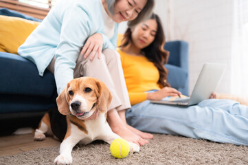 Family vacation, mother, daughter, and beagle puppy relaxing on weekends in the house's leisure room