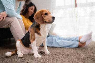 Family vacation, mother, daughter, and beagle puppy relaxing on weekends in the house's leisure room