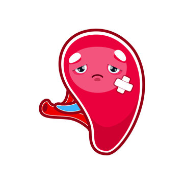 Cartoon sick spleen character, injured unhealthy human organ, isolated vector. Sad spleen with medical patch, body digestion system disease or unhealthy illness and infection of spleen organ