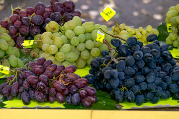 Harvest from grapes of different varieties grown on the northernmost point in Europe. Pink, green, red and black grapes.