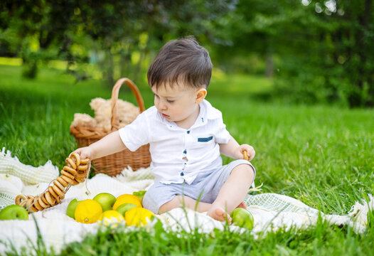 outdoor in park photo session with baby kid boy.child sitting on blanket eating small round pretzel.many apple fruit and lemon,basket and bear toy.green environment.funny face expressions.blurred girl