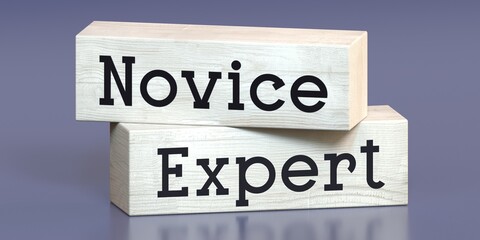 Novice, expert - words on wooden blocks - 3D illustration