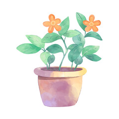 Decorative houseplant in pot. Indoor plants in flower pot, vases, basket for interior isolated on white background. Home greener. Vector watercolour flower 