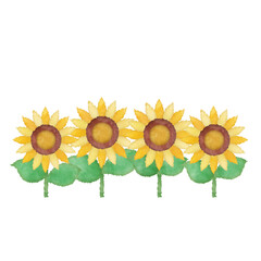 Naklejka premium ヒマワリのイラスト