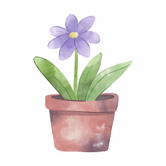 Purple houseplants in ceramic pot.  Hand drawn watercolor illustration.