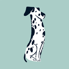 Cute dog of Dalmatian breed. Funny canine animal, puppy sitting. Obedient amusing doggy with black spots print. Charming spotty pup. Sweet lovely bicolor pet. Isolated flat vector illustration
