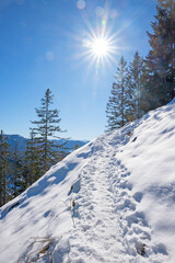 hiking path to Seeberg mountain in winter, upper bavarian landscape