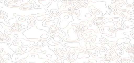 Topographic map background concept. Vector abstract illustration. Geography concept. The stylized height of the topographic map contour in colorful lines