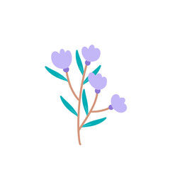 flowers isolated on white background