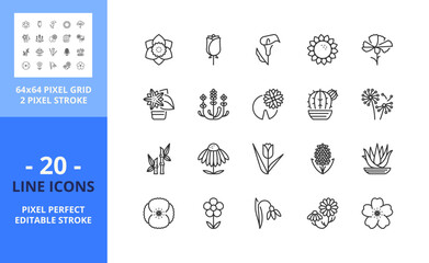 Line icons about flowers and plants. Pixel perfect 64x64 and editable stroke
