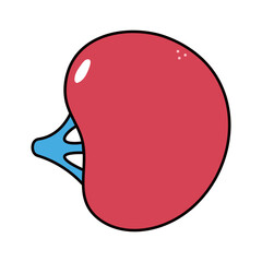 Spleen character. Vector hand drawn traditional cartoon vintage, retro, kawaii character illustration icon. Isolated on white background. Spleen character concept