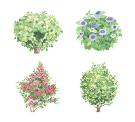 Set of watercolor isolated bushes, hand painting collection of decorative elements for nature illustration, background, design print, watercolor landscape design. - 608184985