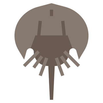 recommend clip art: stingray line icon,linear,outline,graphic,illustration