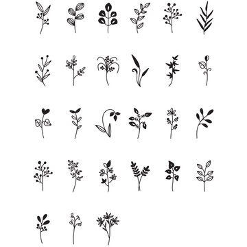Botanical Svg,  Floral svg |Flower Svg |Botanical clipart |Flower Clipart |floral leaves and branches svg, Vectors & Illustrations	