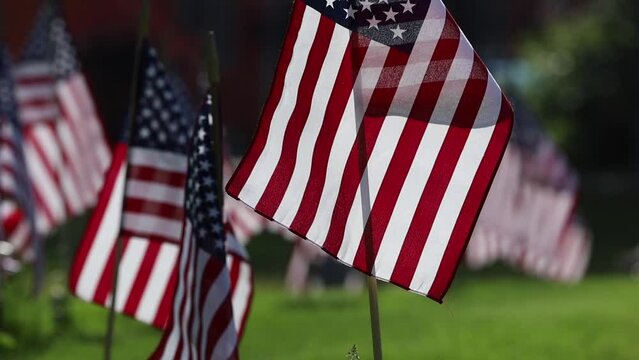 Memorial Day Ceremony, American Flags Flying on Veterans Cemetery