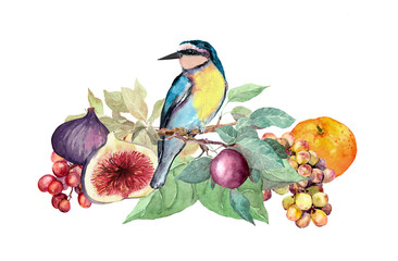 Blue exotic bird with summer fruits on branch with green leaves. Watercolor drawing, summer card beautiful illustration