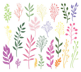 beautiful flowers leaves