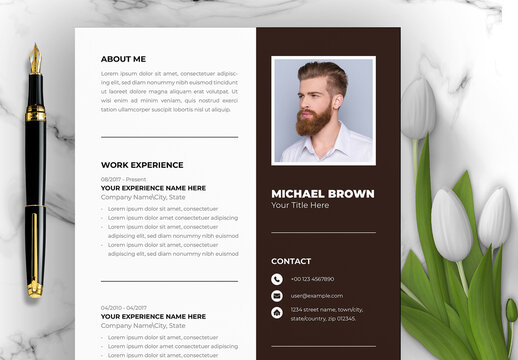 Modern Resume Layout with Turquoise Accents