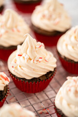 Chocolate peppermint cupcakes