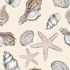 Hand drawn illustrations - seamless pattern of seashells. Marine background. Perfect for invitations, greeting cards, posters, prints, banners, flyers etc