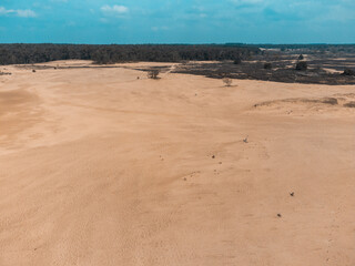A Top View of the Desert, Pines and Blue Sky in The Loonse and Drunense Duinen National Park
