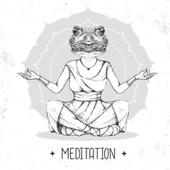 Hand drawing hipster animal frog meditating in lotus position on mandala background. Vector illustration