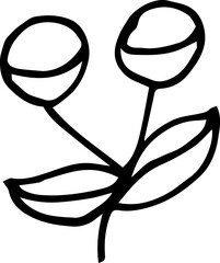 Single hand drawn herbal elements. Doodle vector illustration for, logo and greeting card.