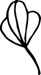 Single hand drawn herbal elements. Doodle vector illustration for, logo and greeting card.