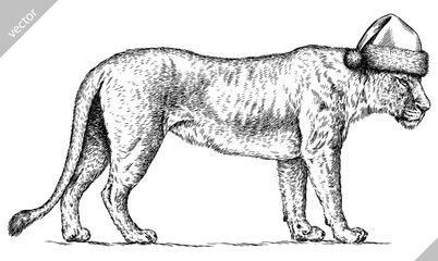 Vintage engraving isolated lion king set dressed christmas illustration ink santa costume sketch. Africa wild cat background animal silhouette new year hat art. Black and white hand drawn vector image