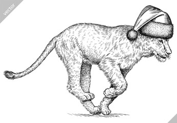 Obraz premium Vintage engraving isolated lion king set dressed christmas illustration ink santa costume sketch. Africa wild cat background animal silhouette new year hat art. Black and white hand drawn vector image