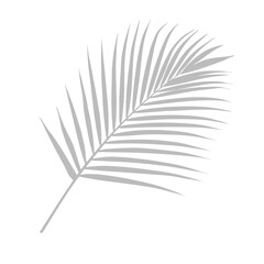 palm branch gray