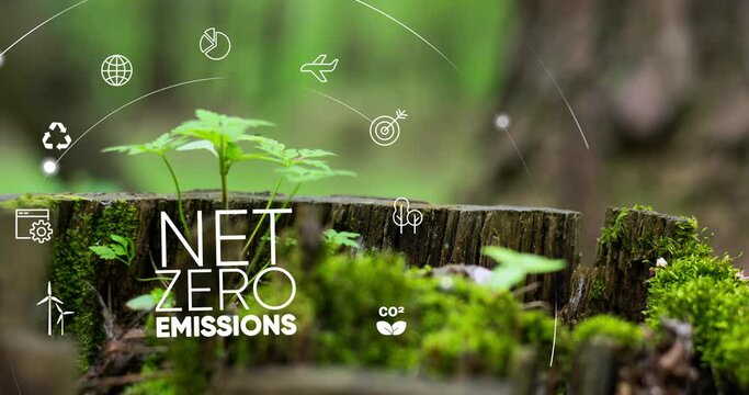 Net zero , carbon neutral concept. Net zero greenhouse gas emissions target. Climate neutral long term strategy with green net zero icon and green icon on green circles doodle background.