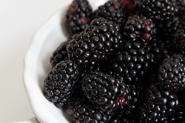 Close up organic blackberry on white background