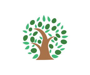 Olive Tree logo image creative cartoon design