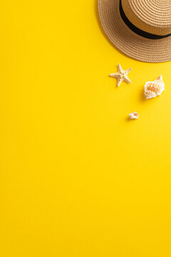Dive into the summer season with this vibrant top vertical view flat lay. Discover a sunhat, starfish, seashell on a bright yellow background, with an empty circle for your text or advert