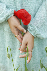 Woman hands holding poppy in evening summer field, close up. Atmospheric moment. Young female in...
