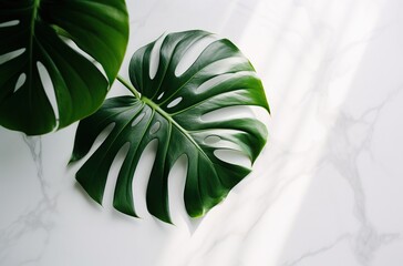 Fototapeta na wymiar top view tropical leaves on marble Generative AI